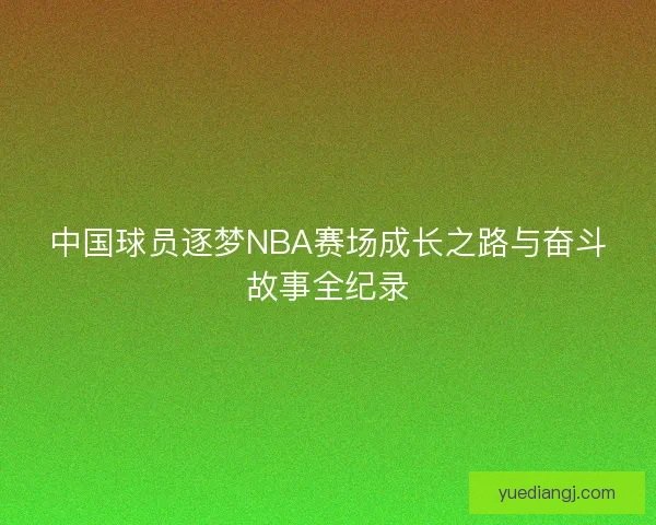 中国球员逐梦NBA赛场成长之路与奋斗故事全纪录